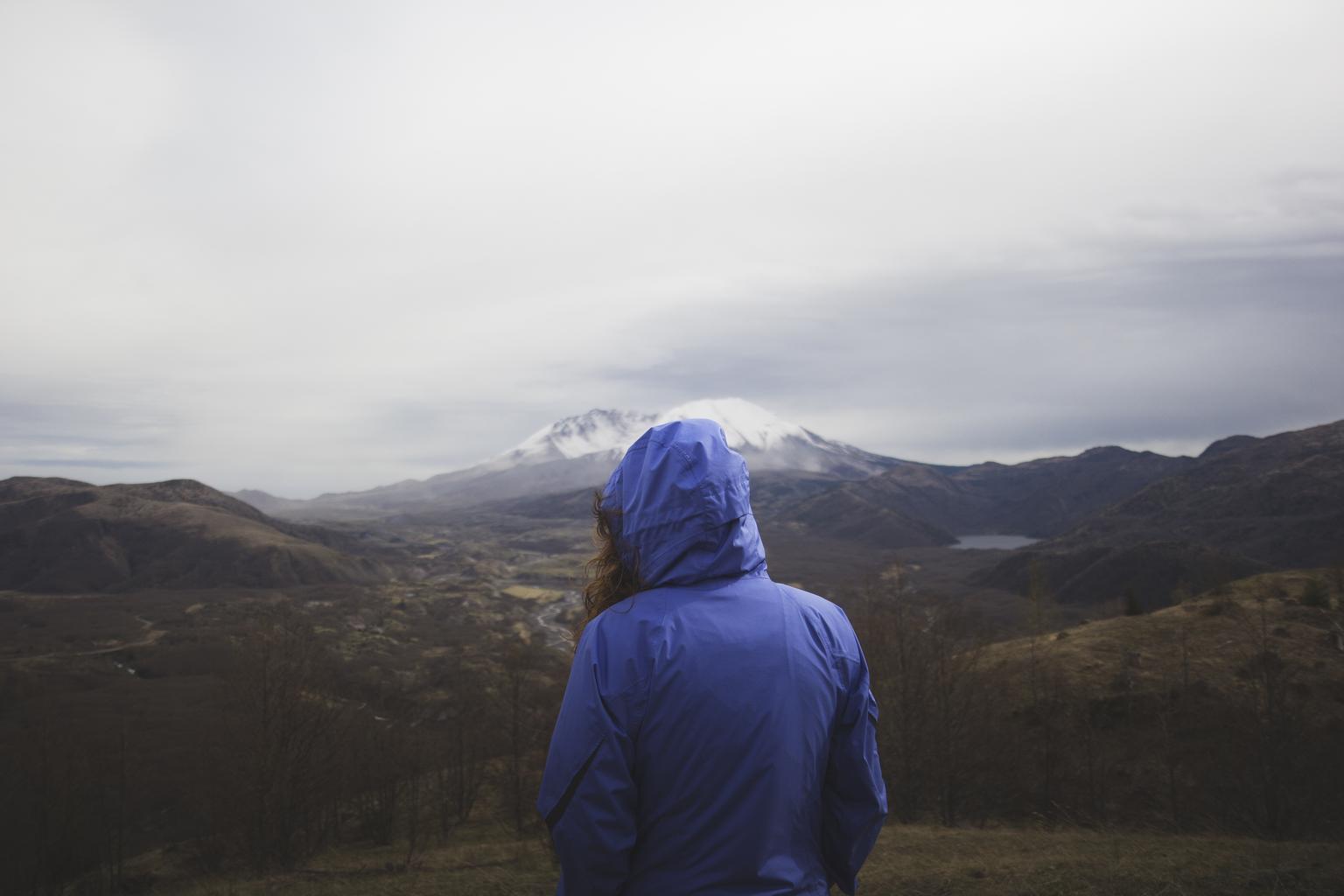 Introducing the Forward Fund for Psychedelic Healing